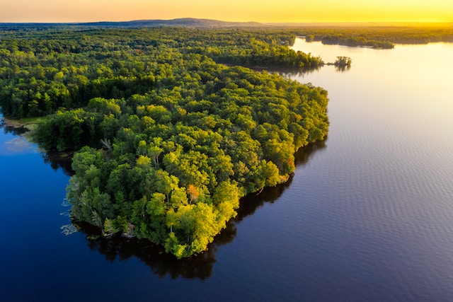 Rockefeller Foundation injects $5M into Amazon Reforestation Fund