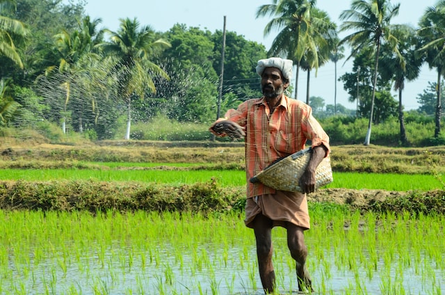 7 Start-Ups To Help Smallholder Farmers In India