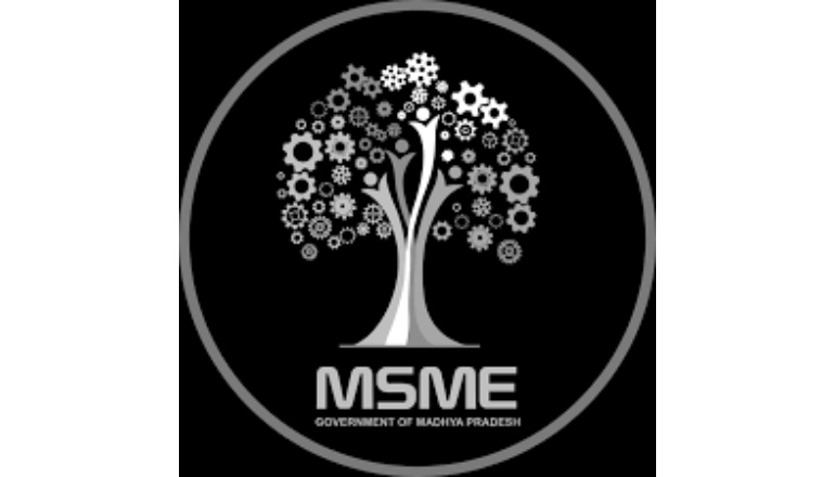 MSME, DEI, Youth: Three Focus Areas of Budget 2024