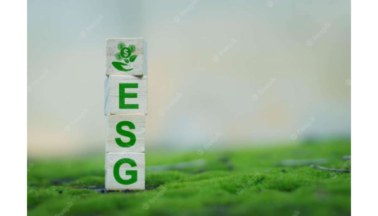 The Importance of ESG Framework and Integration into Business