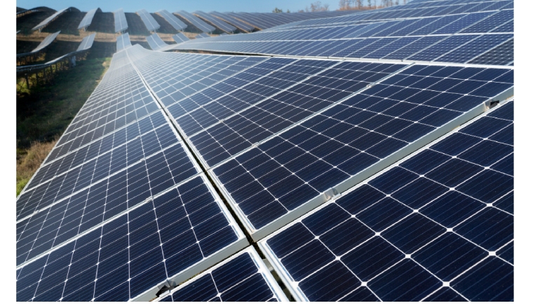 Zetwerk Wins Rs 2,500 crore NTPC Solar Module Contract