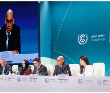 COP29 Discuss Benefits of International Carbon Market Standards