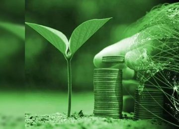 Banks, Insurance Sector Crucial to Sustainability