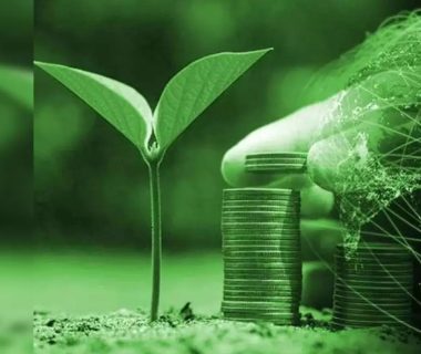 Banks, Insurance Sector Crucial to Sustainability