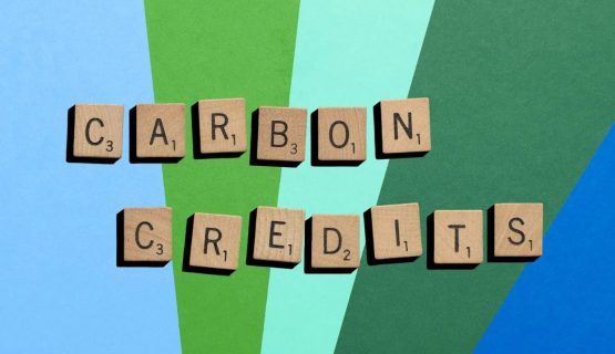 Google, Varaha Sign Largest Carbon Credit Deal