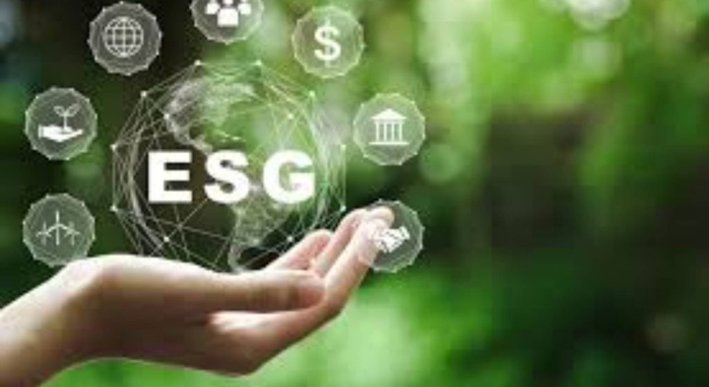 ESG is not about Ticking Boxes