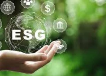 ESG is not about Ticking Boxes