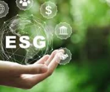 ESG is not about Ticking Boxes