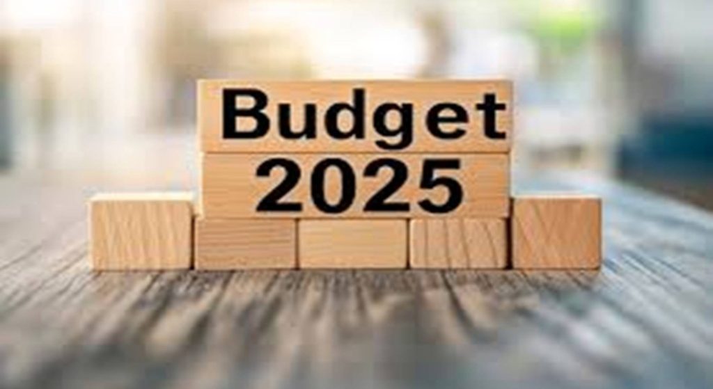 Budget 2025: Incentivize Green Action, Focus on Impact