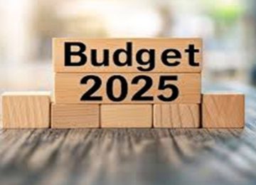 Budget 2025: Incentivize Green Action, Focus on Impact