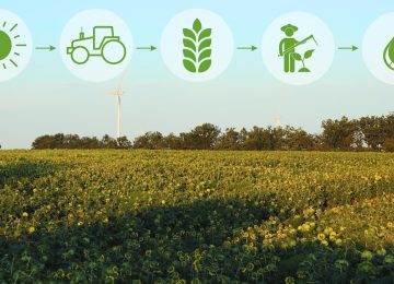 Farming Gets Smart in India