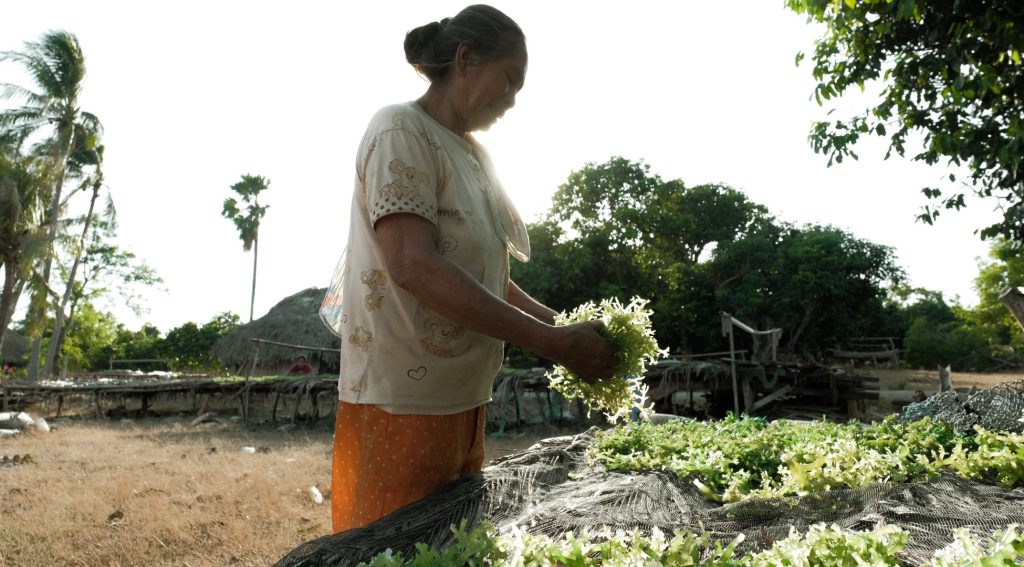 The Asian Development Bank, UNDP Partner To Localize Sustainable Development Goals