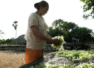 The Asian Development Bank, UNDP Partner To Localize Sustainable Development Goals